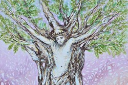 Anche l'artista Gabriella Legno scende in campo in difesa degli Ulivi - Corriere Salentino