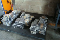 Cocaina dal Sudamerica nascosta tra banane ed ortaggi, nuovi guai per i due figli dello "Zù Peppo" - Corriere Salentino