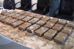 Cocaina dal Sudamerica nascosta tra banane ed ortaggi, nuovi guai per i due figli dello "Zù Peppo" - Corriere Salentino