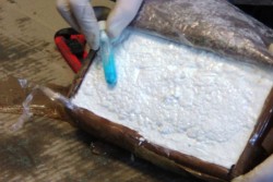 Cocaina dal Sudamerica nascosta tra banane ed ortaggi, nuovi guai per i due figli dello "Zù Peppo" - Corriere Salentino