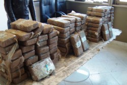 Cocaina dal Sudamerica nascosta tra banane ed ortaggi, nuovi guai per i due figli dello "Zù Peppo" - Corriere Salentino