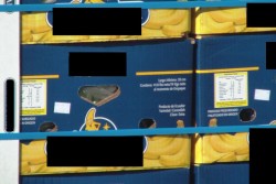 Cocaina dal Sudamerica nascosta tra banane ed ortaggi, nuovi guai per i due figli dello "Zù Peppo" - Corriere Salentino