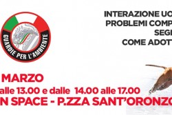 Cani e problemi comportamentali, Una giornata con le guardie per l'ambiente all'Open Space di Piazza Sant'Oronzo - Corriere Salentino