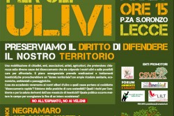 "Salviamo gli ulivi!", domenica 29 marzo manifestazione in piazza Sant'Oronzo - Corriere Salentino