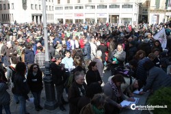 Xylella, un fiume di gente in piazza Sant'Oronzo per salvare gli ulivi e chiedere trasparenza - Corriere Salentino