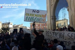 Xylella, un fiume di gente in piazza Sant'Oronzo per salvare gli ulivi e chiedere trasparenza - Corriere Salentino
