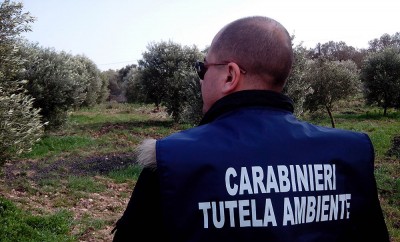 noe-campagna-controlli