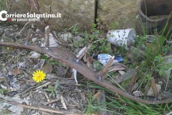 Assalto al centro commerciale "Leclerc", banditi sventrano la cassa continua: bottino di 40mila euro - Corriere Salentino