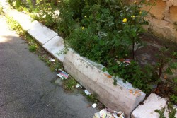 Dantes: "Via Gioacchino Rossini, ennesimo caso di abbandono ed incuria. A quando una soluzione definitiva?" - Corriere Salentino