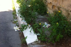 Dantes: "Via Gioacchino Rossini, ennesimo caso di abbandono ed incuria. A quando una soluzione definitiva?" - Corriere Salentino