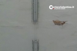 Scuole a pezzi, crollano calcinacci nelle elementari di Squinzano. - Corriere Salentino