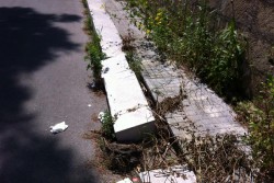 Dantes: "Via Gioacchino Rossini, ennesimo caso di abbandono ed incuria. A quando una soluzione definitiva?" - Corriere Salentino