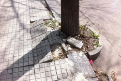 Dantes: "Viale Don Minzoni, un pessimo biglietto da visita. Possibile che Perrone non se ne accorga?" - Corriere Salentino