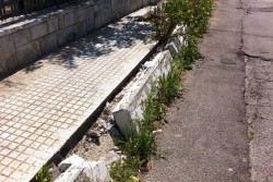 Dantes: "Via Gioacchino Rossini, ennesimo caso di abbandono ed incuria. A quando una soluzione definitiva?" - Corriere Salentino