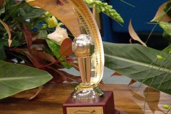 La Puglia presente alla X edizione del Video Festival Imperia con tre registi in concorso - Corriere Salentino