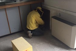 Sciame d'api salvato con un macchinario artigianale costruito con materiali riciclati - Corriere Salentino