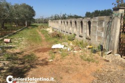 Travolto da una motozappa, contadino perde una gamba - Corriere Salentino
