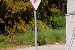 San Cataldo di Lecce, inquietanti scritte inneggianti al nazismo. D'Agata: "Episodi da non sottovalutare" - Corriere Salentino