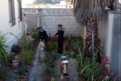 Un giardino botanico completamente "rubato", nei guai un 39enne - Corriere Salentino