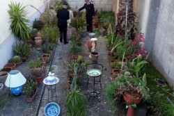 Un giardino botanico completamente "rubato", nei guai un 39enne - Corriere Salentino