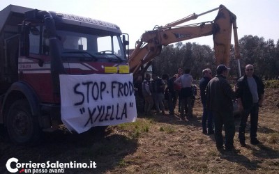foto BrindisiOggi
