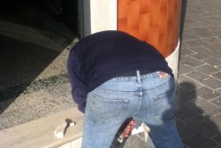 Ladri mattinieri svaligiano tabaccheria all'alba: "colpo" da oltre 4mila euro - Corriere Salentino