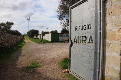 rifugio-aura-canile