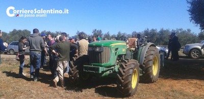 ugento-xylella-slide (2)