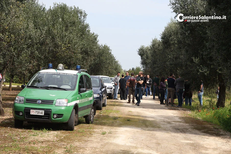 Xylella, Martina a Bruxelles: presentata l’idea di un piano d’azione