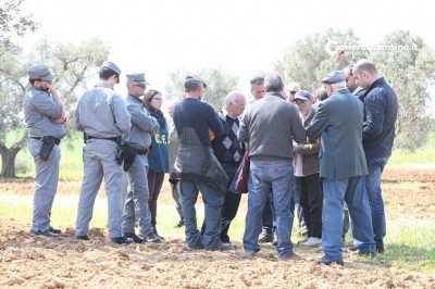 ulivi-xylella-proteste-(5)