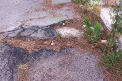 Dantes: "Via Cagliari, ennesima segnalazione. Qualcuno esca dal letargo" - Corriere Salentino