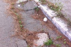 Dantes: "Via Cagliari, ennesima segnalazione. Qualcuno esca dal letargo" - Corriere Salentino