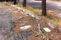 Piazzale Attilio Adamo, Dantes: “l’incuria ed il degrado fanno da cornice ad un quadro desolante - Corriere Salentino