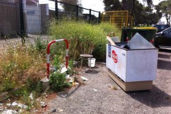 Piazzale Attilio Adamo, Dantes: “l’incuria ed il degrado fanno da cornice ad un quadro desolante - Corriere Salentino