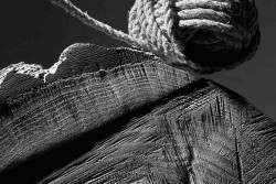 Mediterraneo Foto Festival 2015: domani la presentazione del catalogo fotografico di Bruno Barillari - Corriere Salentino