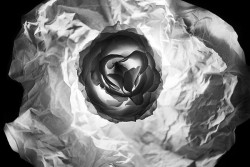 Mediterraneo Foto Festival 2015: domani la presentazione del catalogo fotografico di Bruno Barillari - Corriere Salentino