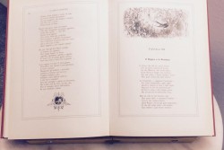 Cibusfabulando 2015: inaugurata la mostra dedicata al cibo e al mondo delle fiabe - Corriere Salentino