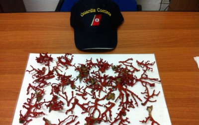 corallo-gc1