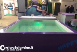 Parte il weekend di Externa, inaugurata la sesta edizione della fiera - Corriere Salentino
