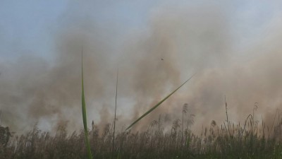 fiamme canneto rauccio