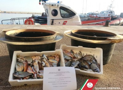 guardia-costiera-pesce