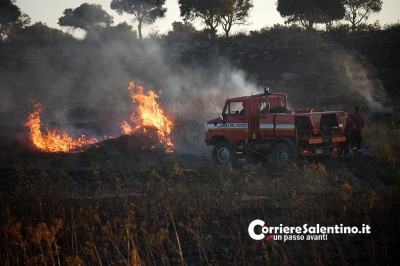 incendio sterpaglie (3)