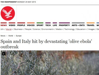 independent ebola xylella