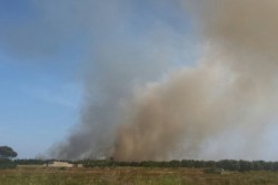 Fiamme nel canneto, vasto incendio nel parco di Rauccio - Corriere Salentino