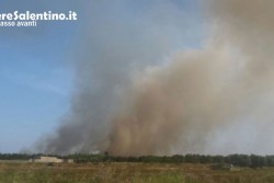 Fiamme nel canneto, vasto incendio nel parco di Rauccio - Corriere Salentino