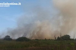 Fiamme nel canneto, vasto incendio nel parco di Rauccio - Corriere Salentino