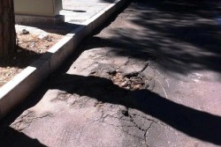 Dantes: "Piazza Mazzini, in pieno centro uno spettacolo indecoroso" - Corriere Salentino