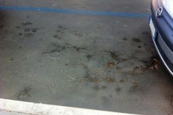 Dantes: "Piazza Mazzini, in pieno centro uno spettacolo indecoroso" - Corriere Salentino