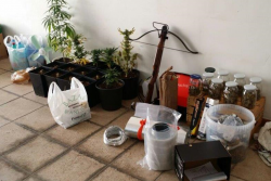 Serra di marijuana nel bagno di casa, in manette 22enne - Corriere Salentino