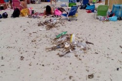 Mare cristallino, ma bagnanti tra i rifiuti: la "triste" cartolina di Torre Chianca - Corriere Salentino